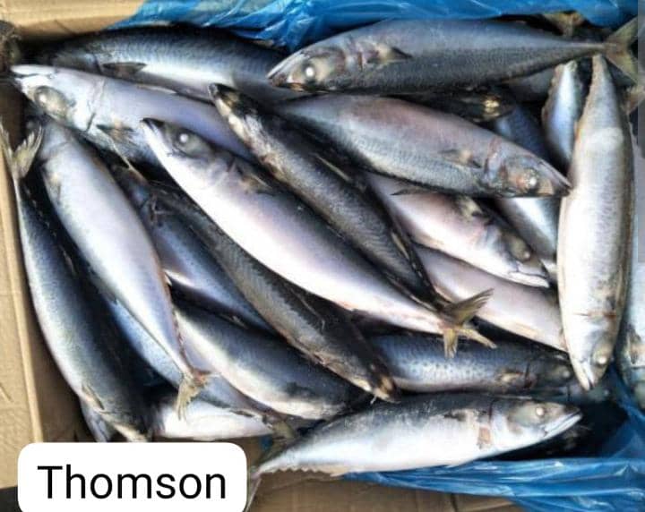 Thomson