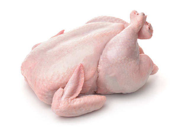 all chicken